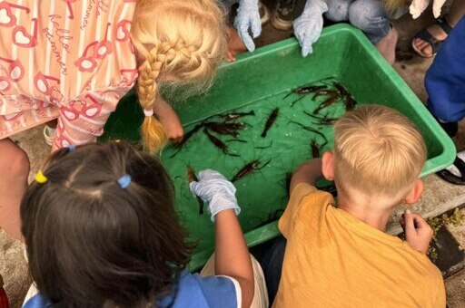 Ферма креветок – фото 5