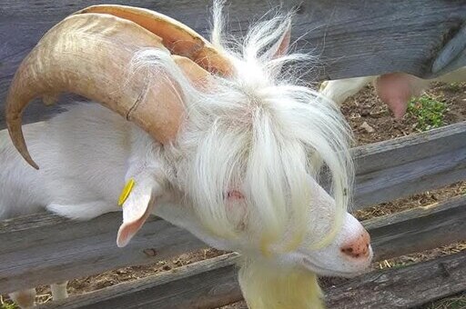 Ферма креветок – фото 6