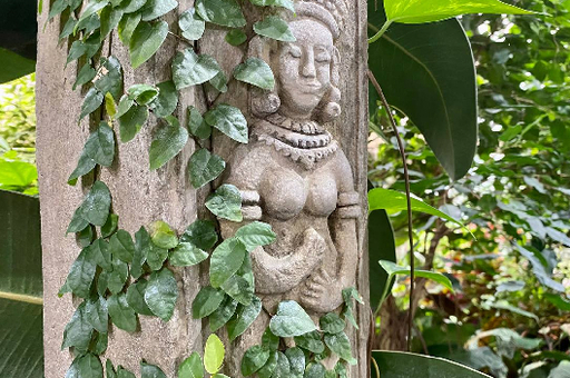 Таємниці Сходу та Тропічні Черкаси – фото 3