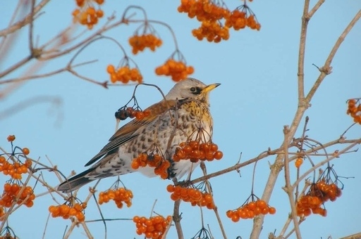 Міжрічинський парк – фото 3