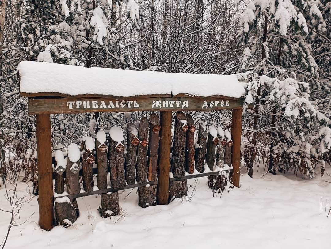 Міжрічинський парк