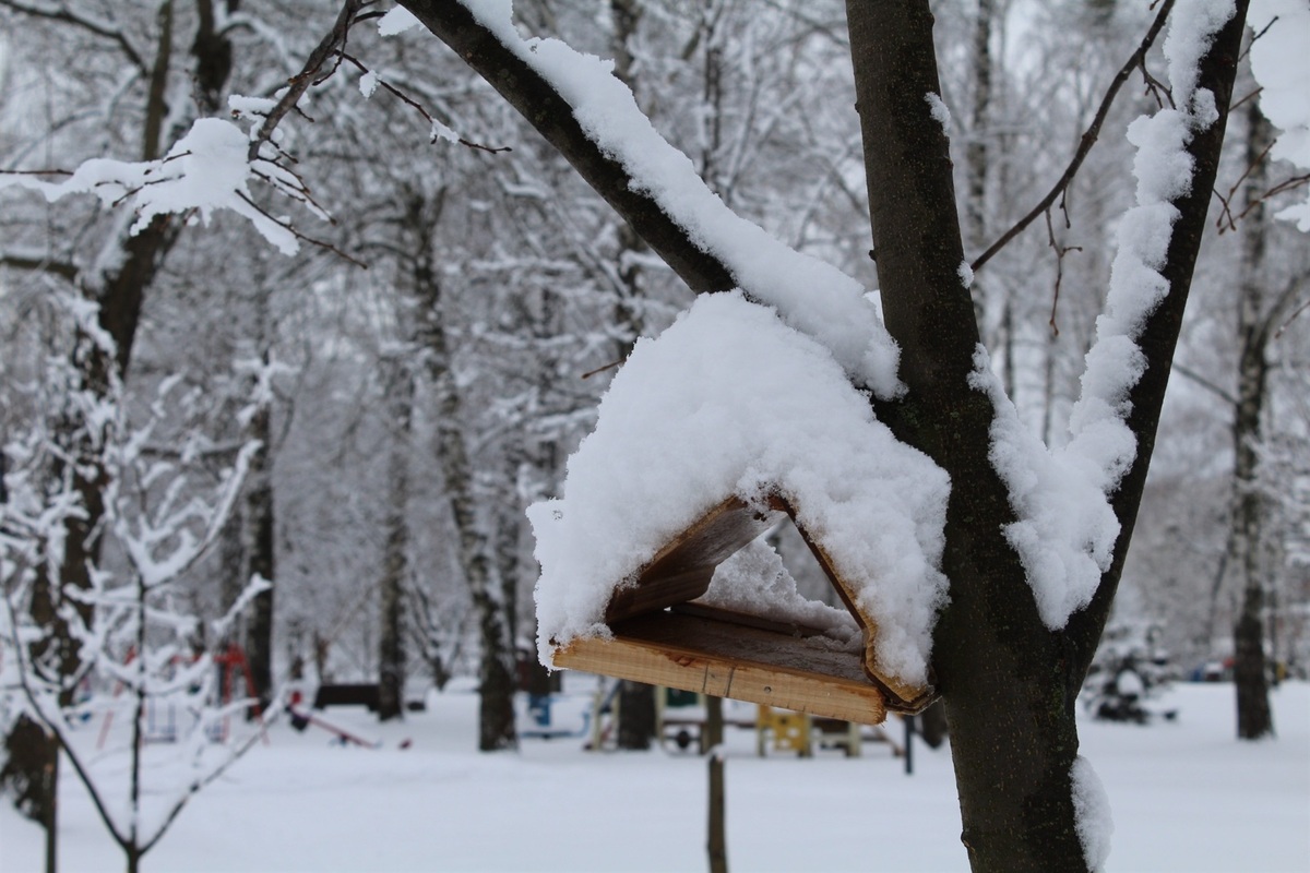 Тростянець – фото 6