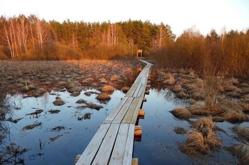 Міжрічинський парк – фото 4