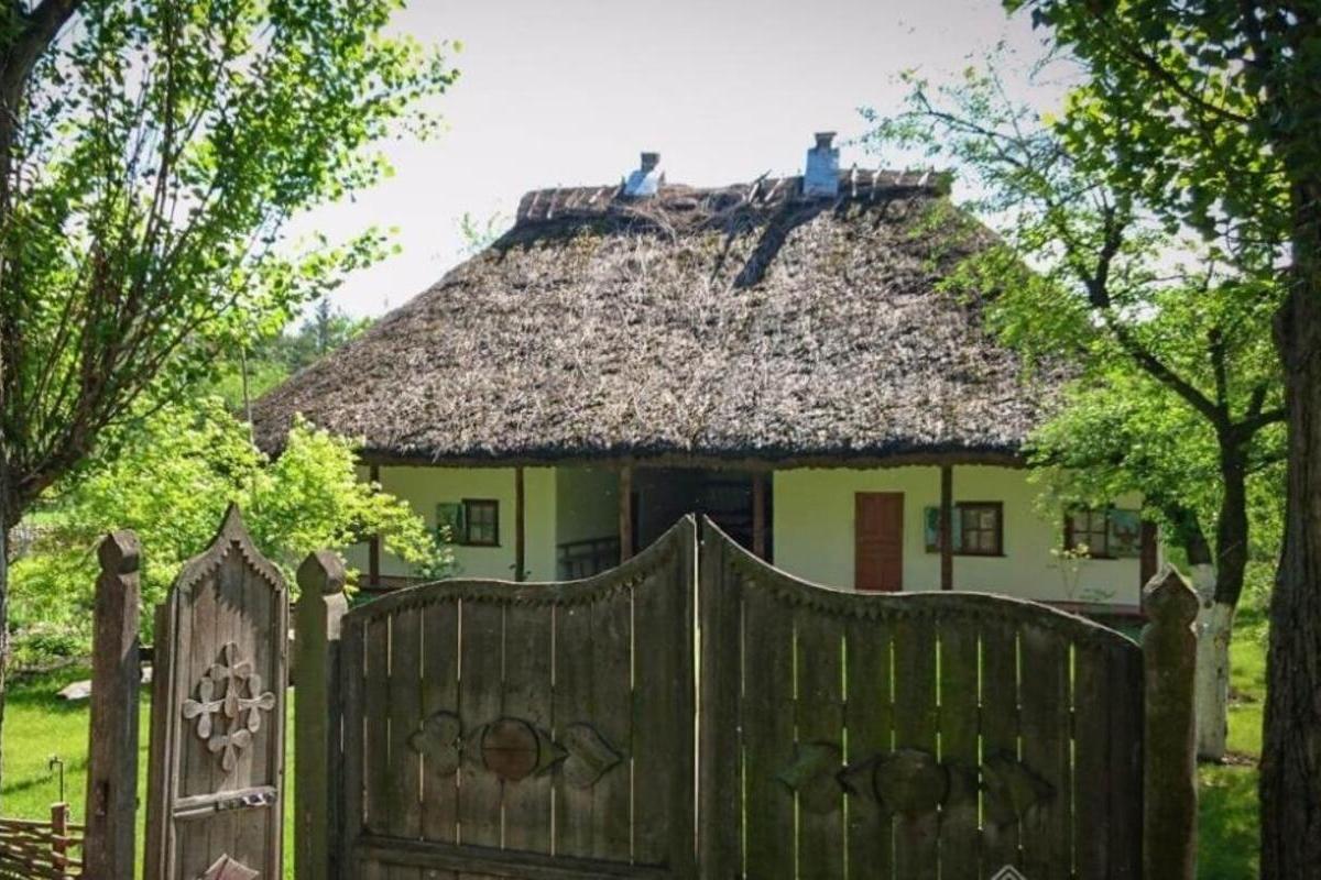 Таємниці Сходу та Тропічні Черкаси – фото 5