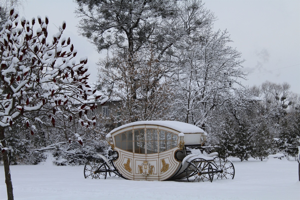 Тростянець