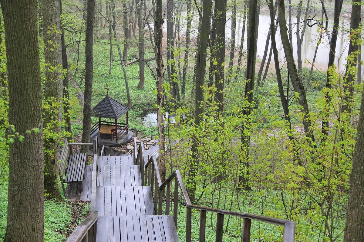 Таємниці Сходу та Тропічні Черкаси – фото 6