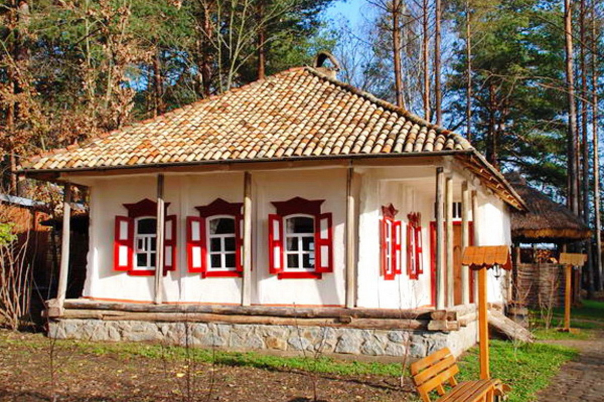 В гості до страусів - мал.05