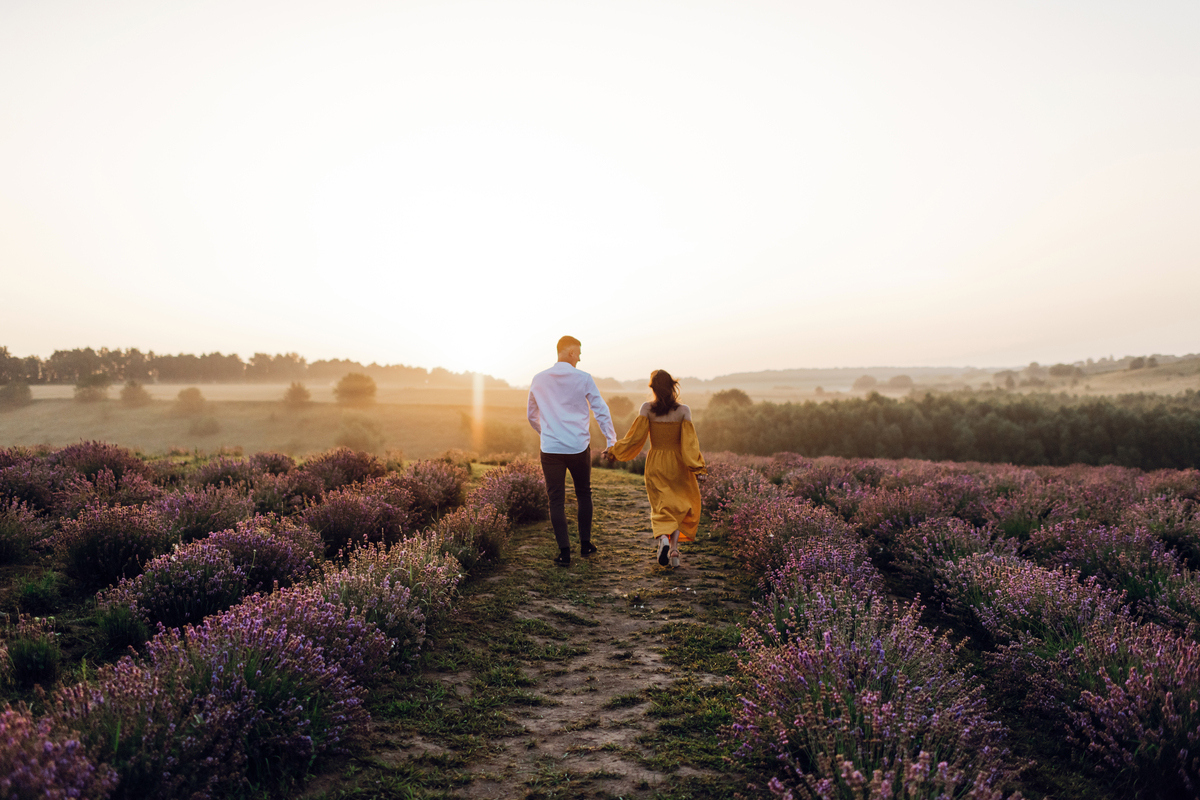 ЛАВАНДОВІ ПРИГОДИ