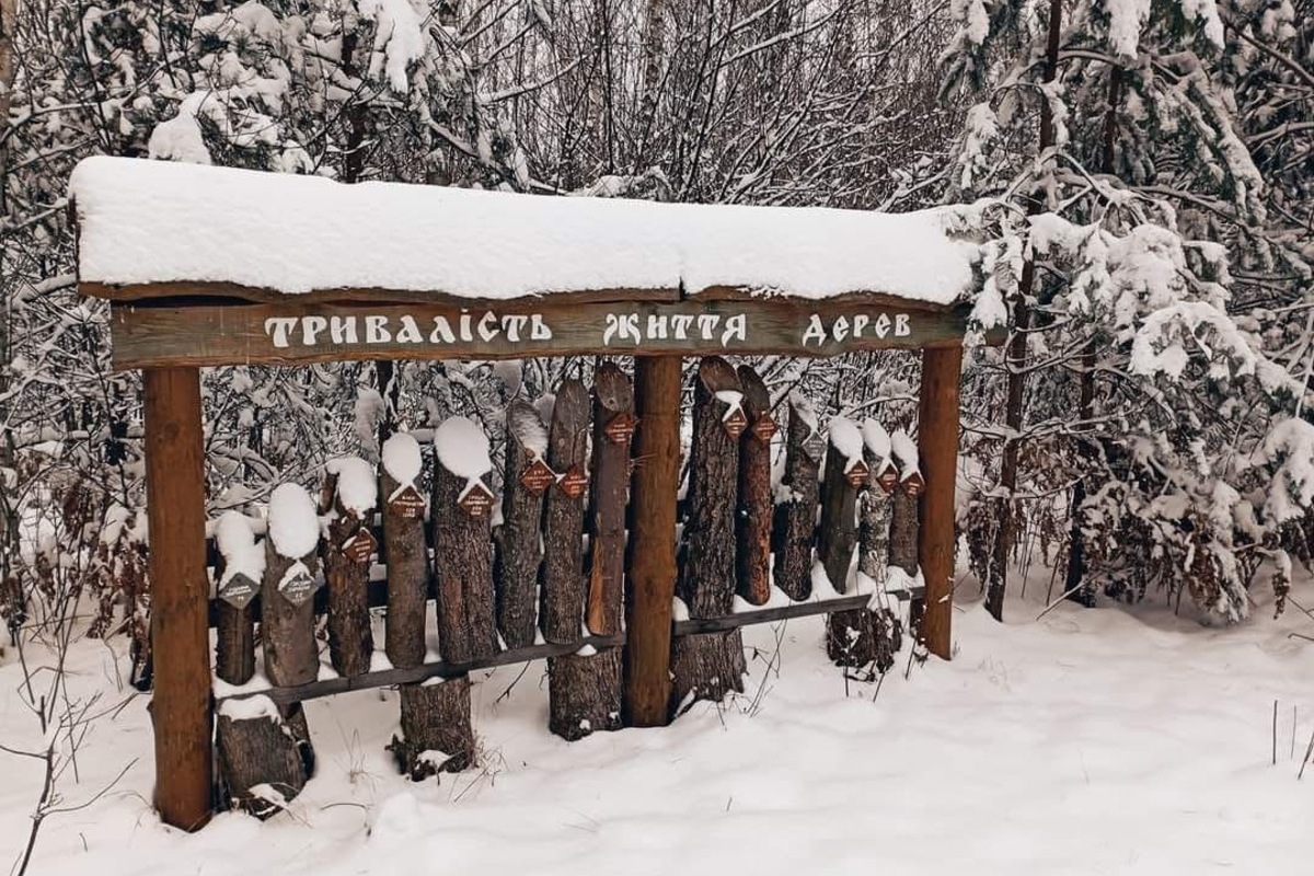 Міжрічинський парк