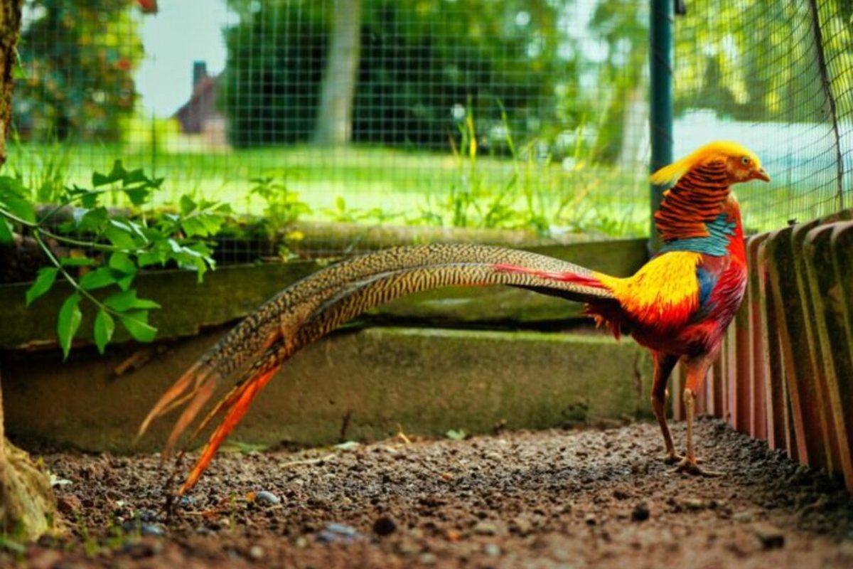 Таємниці Сходу та Тропічні Черкаси – фото 5