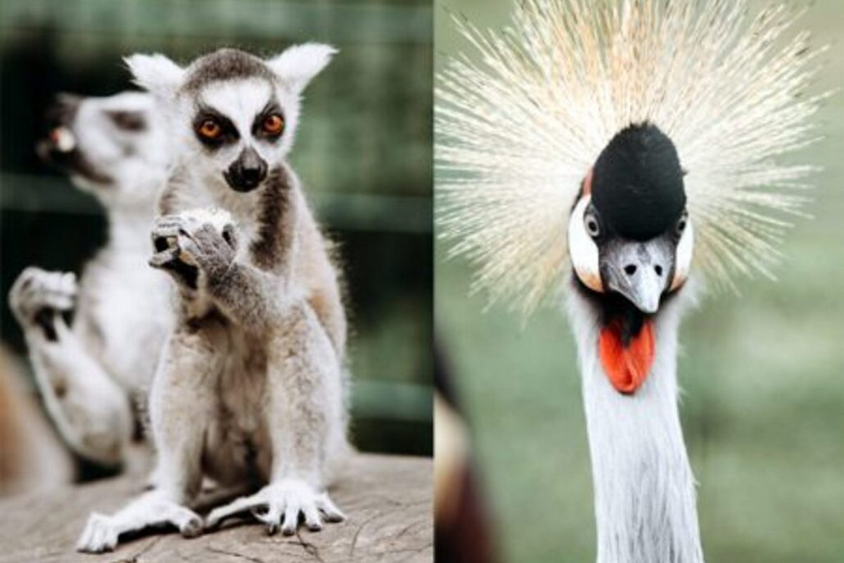 Таємниці Сходу та Тропічні Черкаси – фото 2