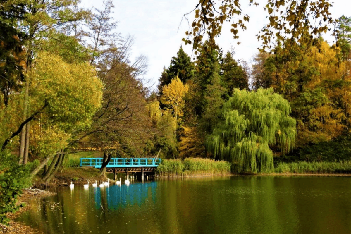 Паркове намисто: Качанівка та Тростянец - мал.06