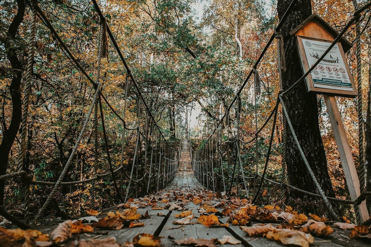 Парк Беремицьке - Дикий світ Чернігівського полісся - мал.03