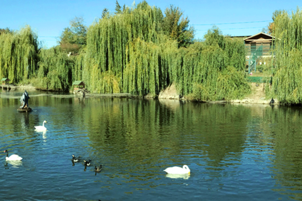 Таємниці Сходу та Тропічні Черкаси – фото 4