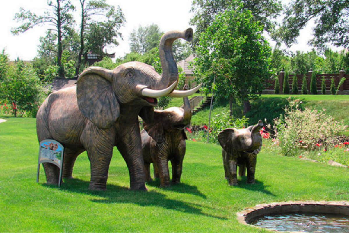 Острів сакури та парк "Буки" - мал.03