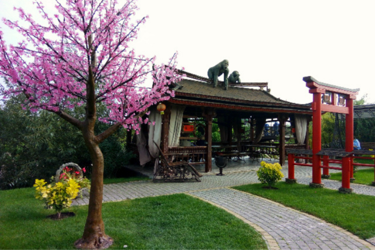 ОСТРІВ САКУРИ ТА ПАРК "БУКИ"