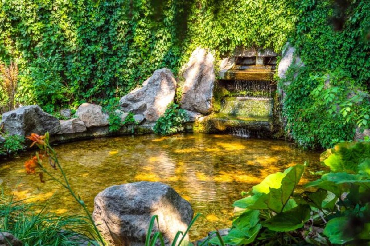 Мелодії Білої Церкви: Органний концерт та парк Олександрія - мал.02