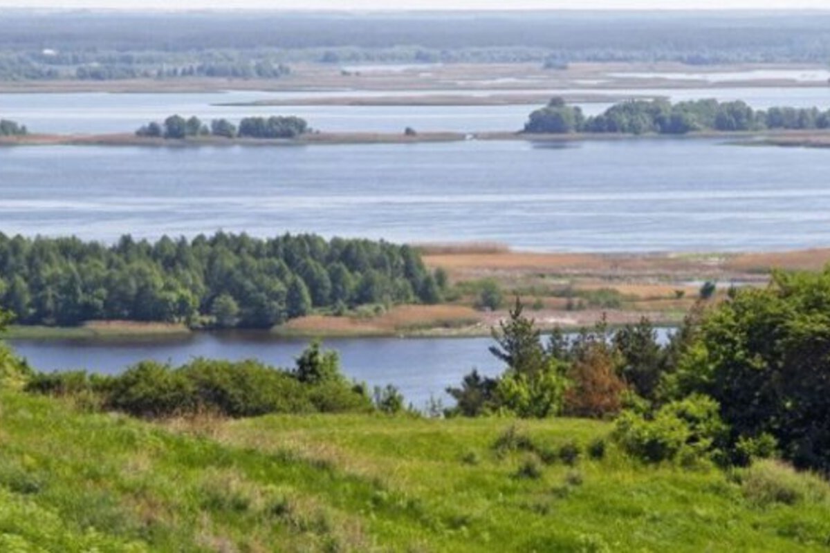 Лиманська коза та легенди Витачева - мал.04