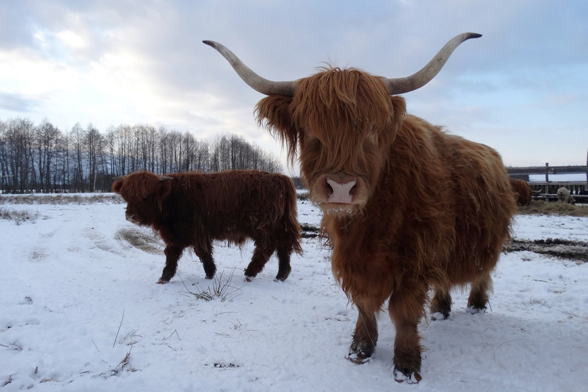 Дотик до природи: екодень у Dereville - мал.05