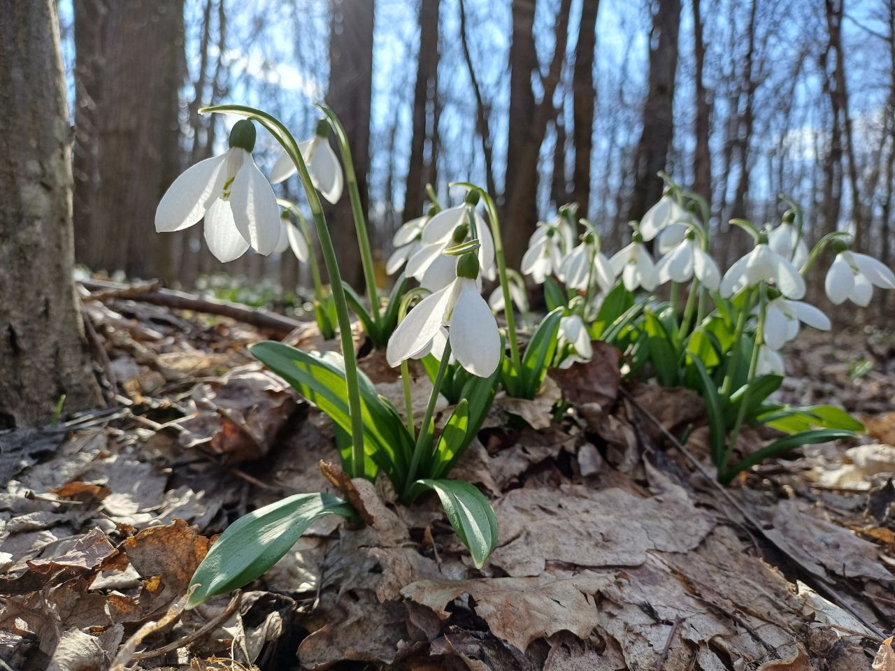 Ферма креветок – фото 3