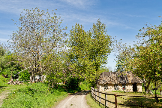 Лиманська коза та легенди Витачева - мал.03