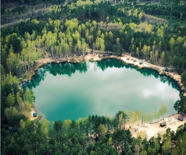 ПІДСНІЖНИКИ В ХОЛОДНОМУ ЯРУ
